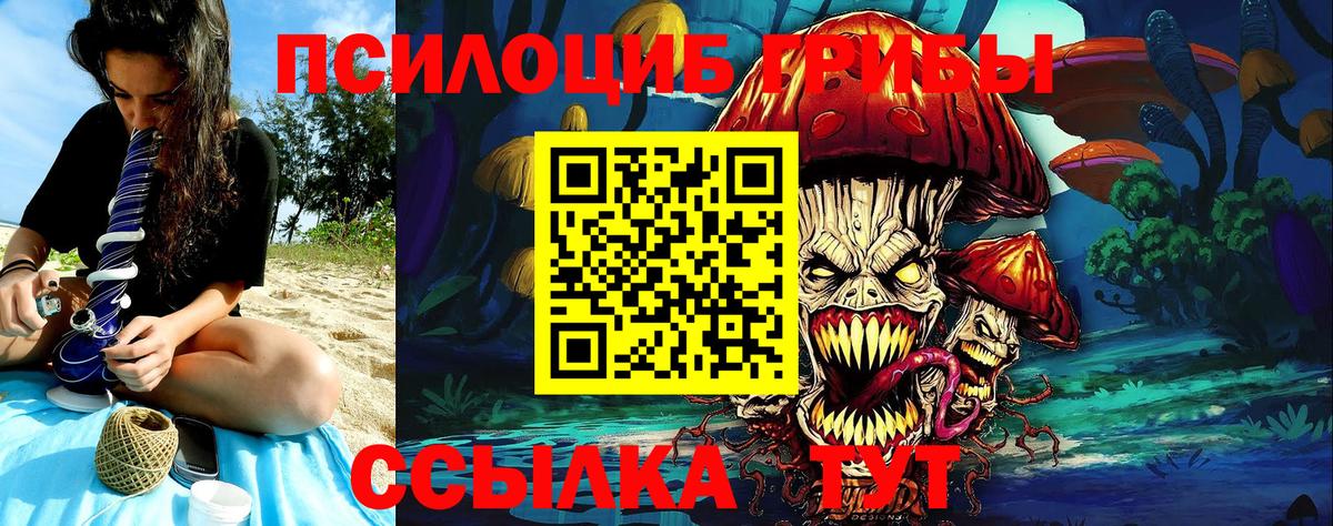 Псилоцибиновые грибы GOLDEN TEACHER Белогорск